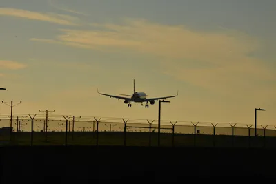 DSC_5722 (Large).JPG